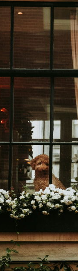 Uplifting visuals for Black and Brown families WHFF.TV ad 3