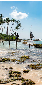 Cultural Connection: Africa & Caribbean – WHFF.TV